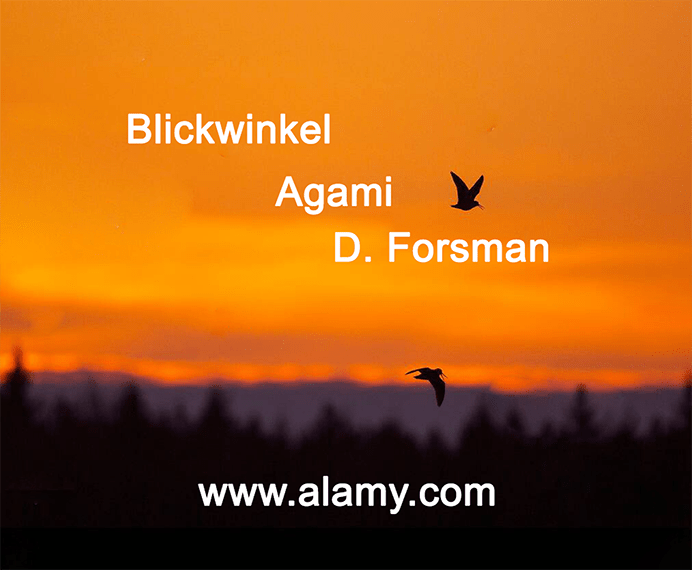 Alamy