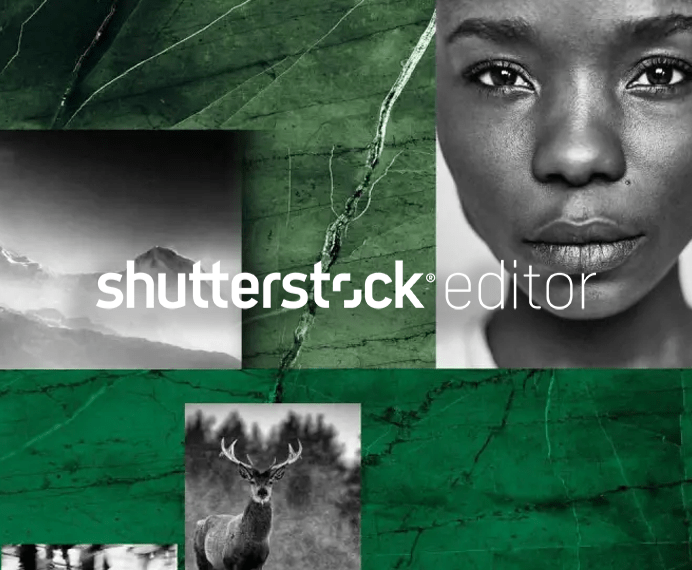 Shutterstock