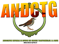 andctg