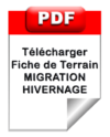 Pdf_protocole_migration