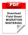 Pdf_protocole_migration_en