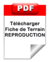Pdf_protocole_reproduction